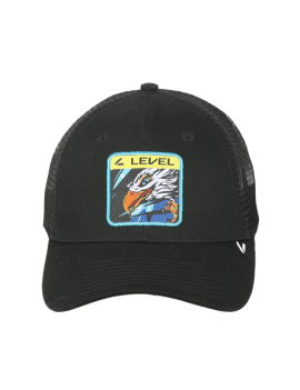 LEVEL CAP MESH EAGLE N.